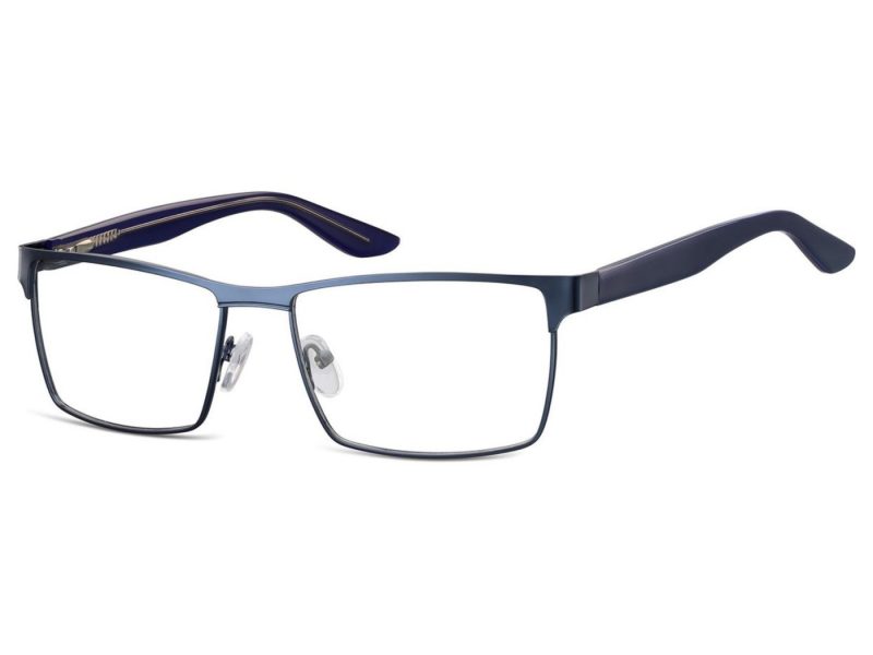 Berkeley Computer brille 881A