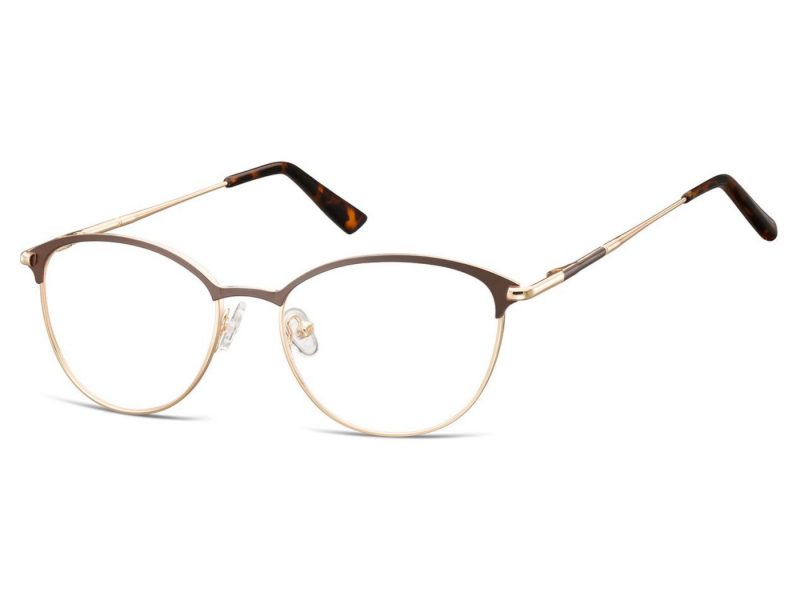 Berkeley Computer brille 891B