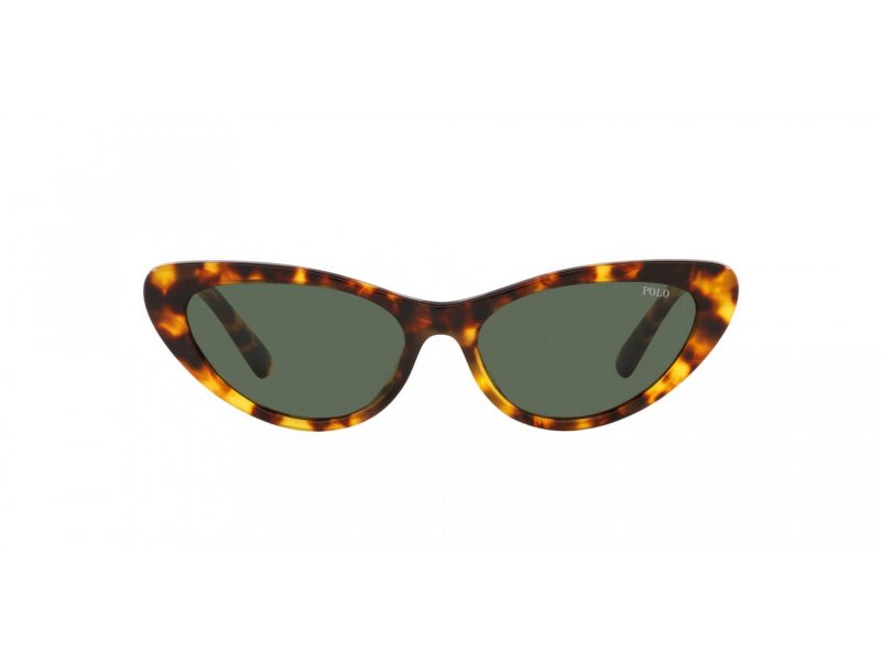 Polo Sonnenbrille PH 4199U 607871