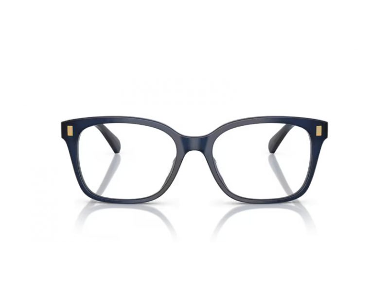 Ralph Sonnenbrille RA 7174U 6059