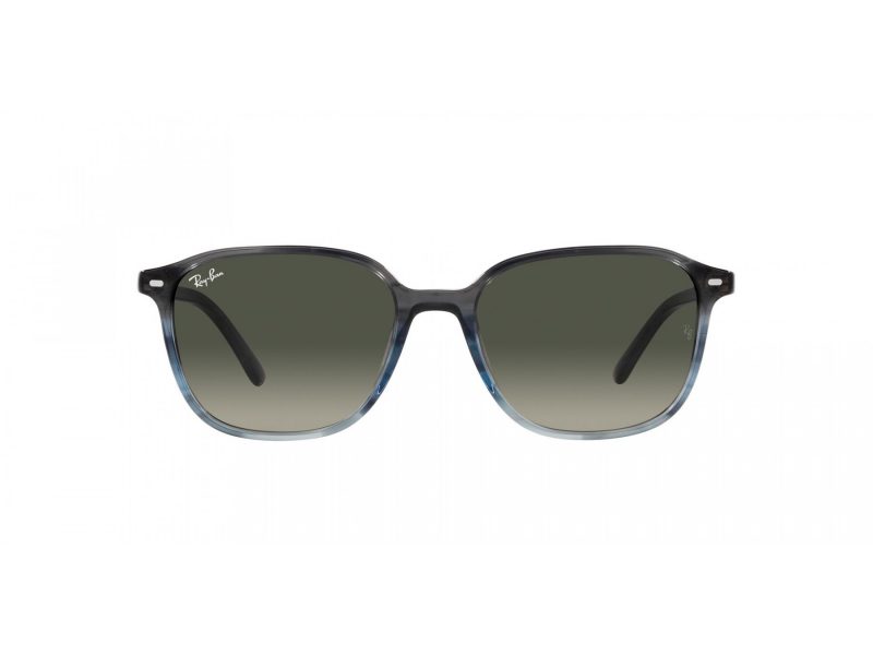 Ray-Ban Leonard Sonnenbrille RB 2193 138171