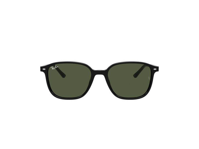 Ray-Ban Leonard Sonnenbrille RB 2193 901/31