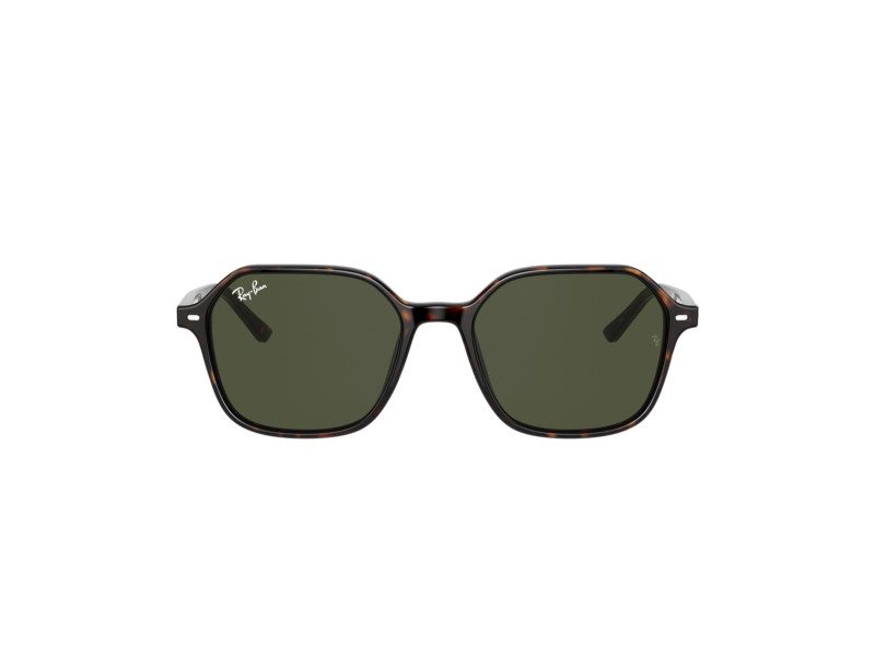 Ray-Ban John Sonnenbrille RB 2194 902/31