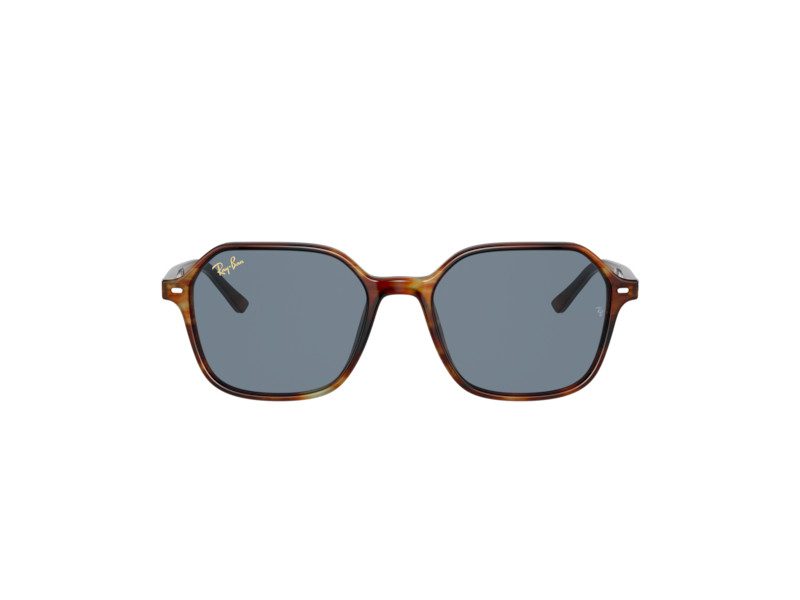 Ray-Ban John Sonnenbrille RB 2194 954/62