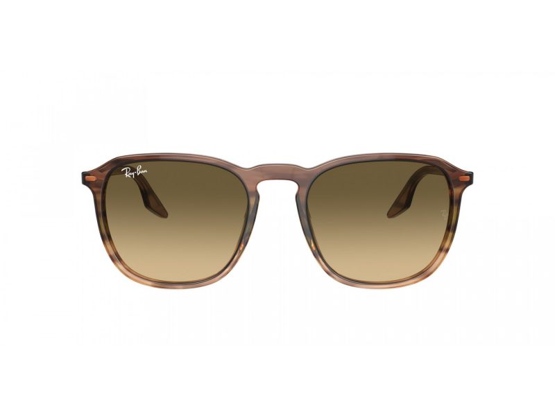 Ray-Ban Sonnenbrille RB 2203 13920A