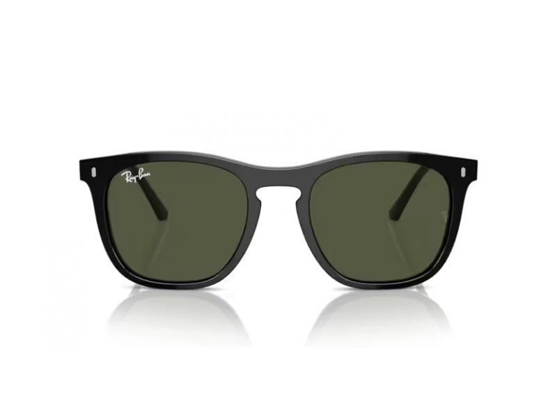 Ray-Ban Sonnenbrille RB 2210 901/31