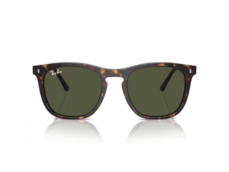 Ray-Ban Sonnenbrille RB 2210 902/31