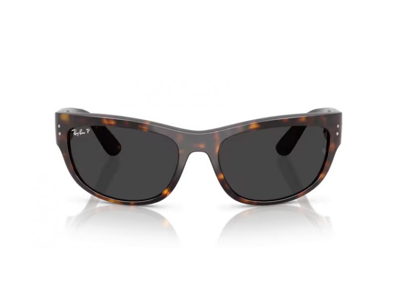 Ray-Ban Mega Balorama Sonnenbrille RB 2289 902/48