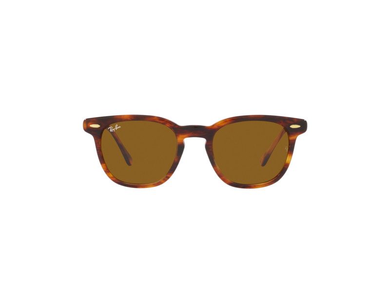 Ray-Ban Hawkeye Sonnenbrille RB 2298 954/33