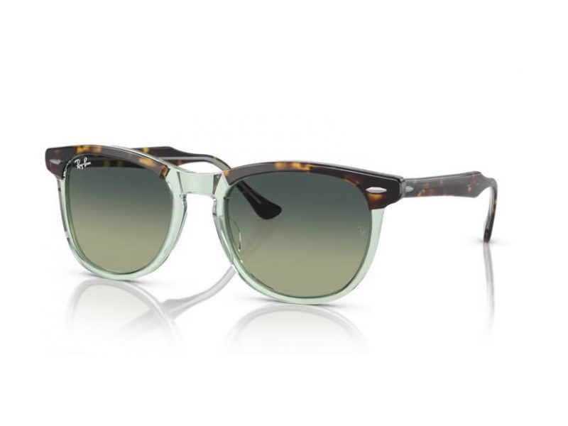 Ray-Ban Eagleeye Sonnenbrille RB 0RB2398 1376BH