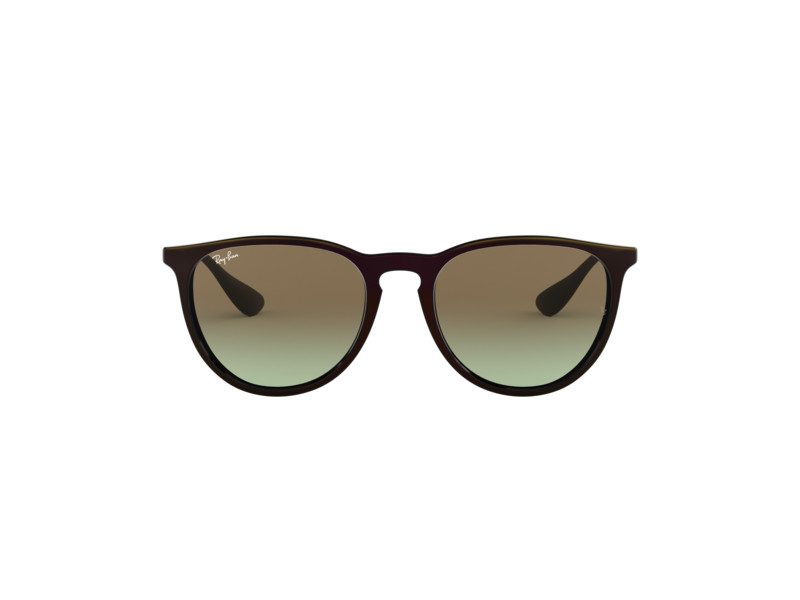 Ray-Ban Erika Sonnenbrille RB 4171 6316/E8