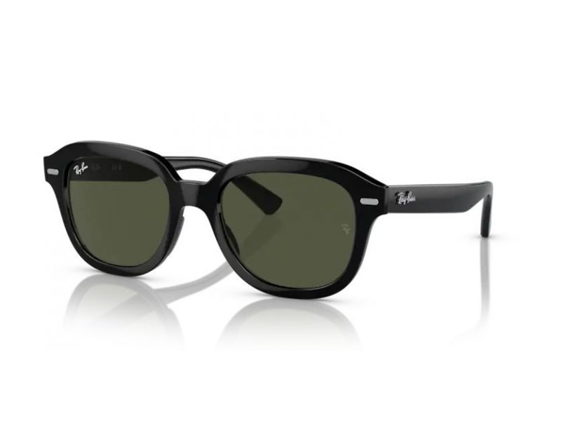 Ray-Ban Erik Sonnenbrille RB 4398 901/31