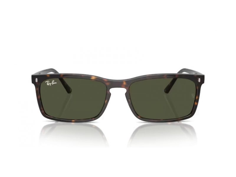 Ray-Ban Sonnenbrille RB 4435 902/31