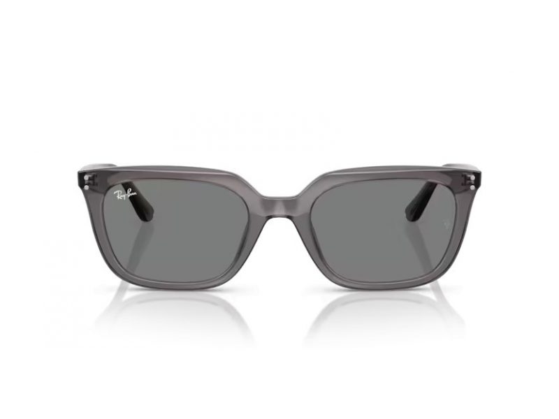 Ray-Ban Sonnenbrille RB 4439D 667587