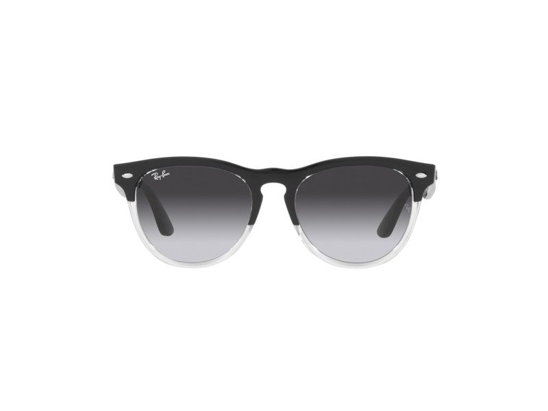 Ray-Ban Iris Sonnenbrille RB 4471 6630/8G