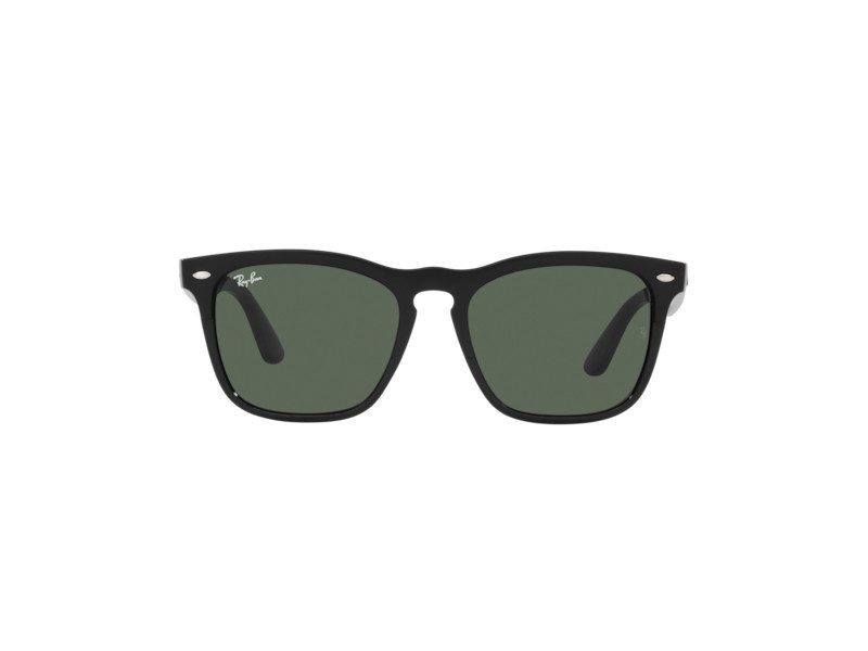 Ray-Ban Steve Sonnenbrille RB 4487 6629/71