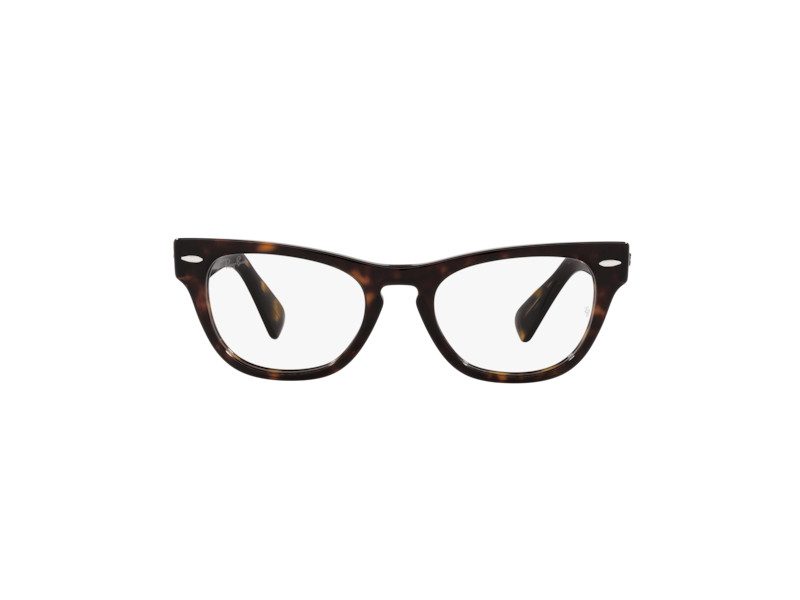 Ray-Ban Laramie Brillen RX 2201V 2012