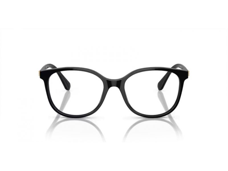 Swarovski Sonnenbrille SK 2002 1001