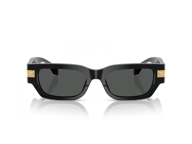 Versace Sonnenbrille VE 4465 GB1/87